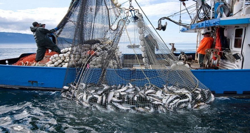 Pêche : Légère hausse de la valeur des produits commercialisés en 2023